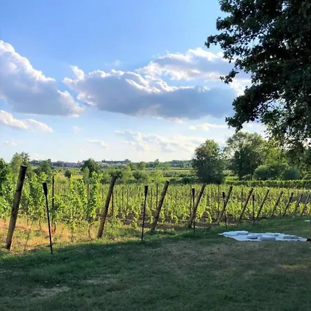 Dolce San Felice del Benaco