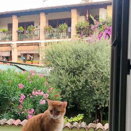 Dolce * San Felice del Benaco