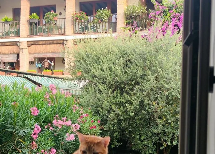 Dolce 3* San Felice del Benaco